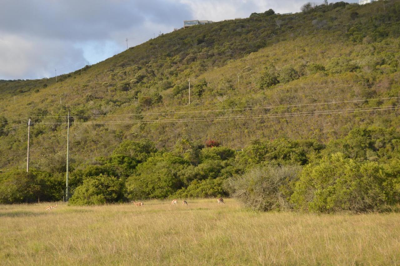 Matjesfontein Estate Keurbooms Chalet Плеттенберг-Бей Экстерьер фото